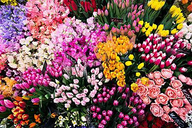 《战地6》累计游戏市场9200万小时 首日补丁含大量改动