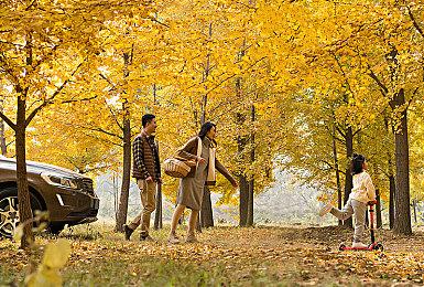 2023年12月全球主机销量估测 索尼微软同比均有增长